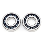 Bearing Set compatible with Echo CS-4510