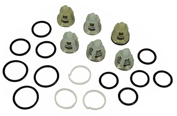 Comet pressure washer pump OEM valve kit